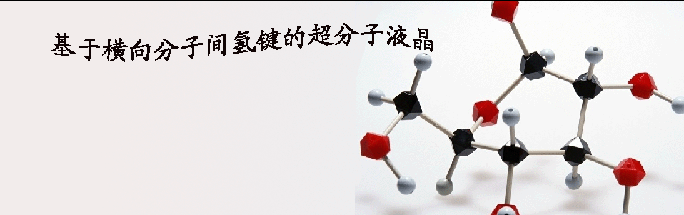 基于横向分子间氢键的超分子液晶