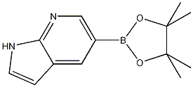 7-氮杂吲哚-5-硼酸频哪醇酯结构式