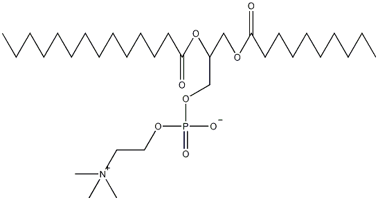 1,2-双十二烷酰-RAC-甘油-3-胆碱磷酸结构式
