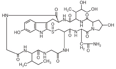 α-毒伞肽结构式