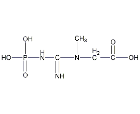 磷酸肌酸结构式