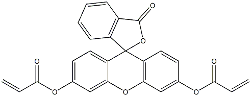 Fluorescein O,O'-dimethacrylate