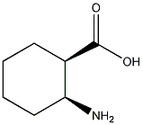 cis-2-Amino-1-cyclohexanecarboxylic acid