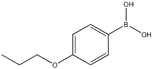 4-Propoxyphenylboronic acid