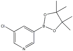 5-Chloropyridine-3-boronic acid pinacol ester