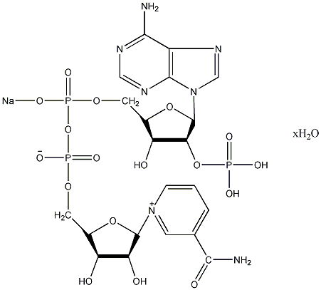 腺嘌呤二核苷酸磷酸钠结构式