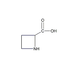 (S)-(-)-2-吖丁啶羧酸结构式