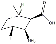 3-氧-氨基双环[2.2.1]正庚烷-2-氧-羧酸结构式