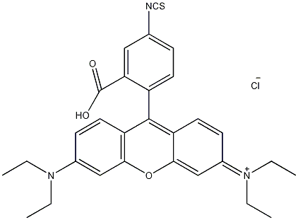 异硫氰酸盐罗丹明b结构式