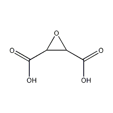 Trans-2,3-Epoxysuccinic acid