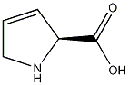 3,4-脱氢脯氨酸结构式
