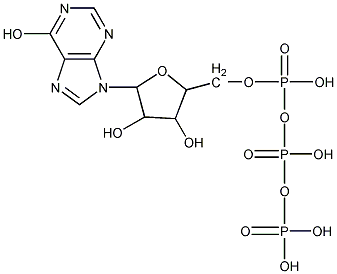 Inosine 5'-(tetrahydrogen triphosphate)