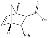3-内-氨基双环[2.2.1]胸腺嘧啶-5-烯-2-内-羧酸结构式
