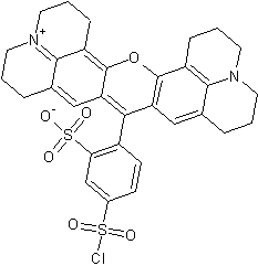 磺基罗丹明101 酸氯结构式