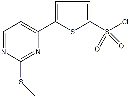 5-(2-甲基硫代嘧啶-4-基)噻吩-2-磺酰氯结构式