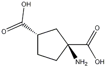 (±)1-Aminocyclopentane-cis-1,3-Dicarboxylic acid