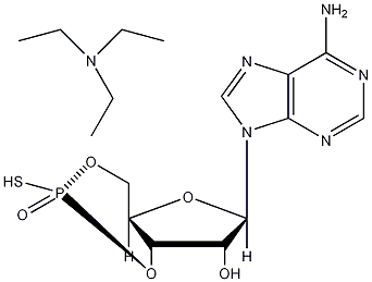 腺苷-3',5'-环状硫代磷酸三乙基铵盐,Sp-异构体结构式