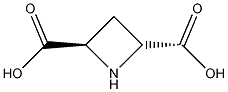 (2R,4R)-(+)-吖丁啶-2,4-二羧酸结构式