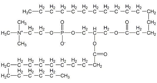 棕榈胆磷结构式
