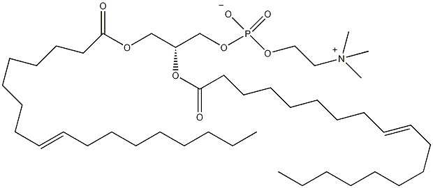 1,2-二油锡甘油-3-磷酸结构式