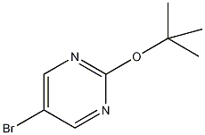 5-Bromo-2-(tert-butoxy)pyrimidine