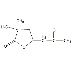 2,2-二甲基-6-氧代-4-庚内酯结构式