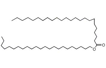 二十四(烷)酸二十三烷酯结构式