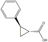 trans-2-cyclopropanecarboxylic Acid