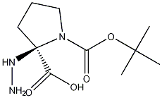 (S)-(-)-N-BOC-L-脯氨酸肼结构式