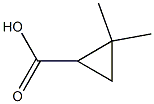 2,2-Dimethylcyclpropanecarboxylic Acid