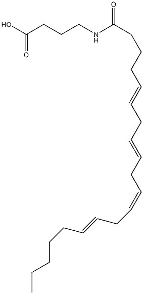 N-花生酰-γ-氨基丁酸结构式