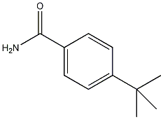 对叔丁基苯甲酰胺结构式