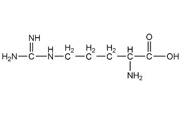 L-精氨酸结构式