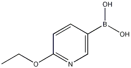 6-乙氧基吡啶-3-硼酸结构式