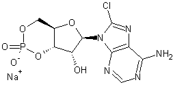 8-氯腺苷-3',5'-环状磷酸钠盐结构式