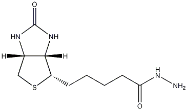 D-生物素酰肼结构式