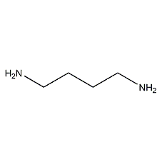 1,4-二氨基丁烷结构式