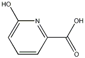 6-Hydroxypicolinic Acid