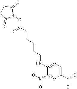 N-(2,4-二硝基苯基)-6-氨基己酸-N-琥伯酰亚胺结构式