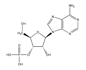 腺苷酸结构式