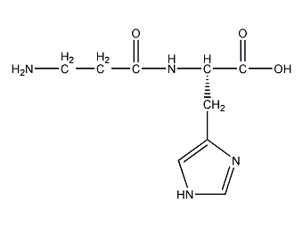 L-肌肽结构式