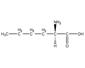 D(-)-正亮氨酸结构式