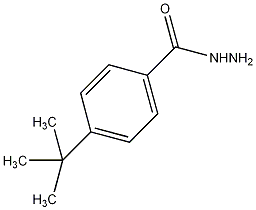 4-tert-Butylbenzhydrazide