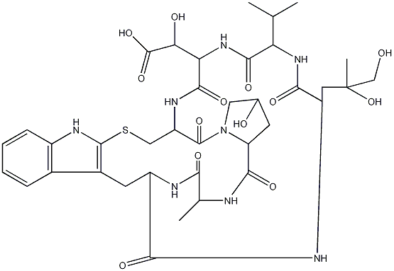 Phallacidin