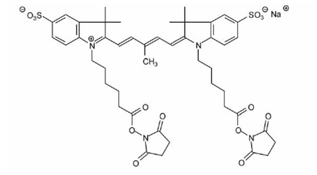 1-(2,5-Dioxo-pyrrolidin-1-yl-oxycarbonyl)-pentyl-2-[5-[1-(2,5-dioxo-pyrrolidin-1-yl-oxycarbonyl)-pentyl-1,3-dihydro-3,3-dimethyl-5-sulfo-2H-indol-2-ylidene]-3-methyl-penta-1,3-dienyl]-3,3-dimethyl-5-sulfo-3H-indolium hydroxide, inner salt, sodium salt