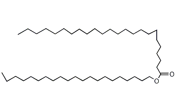 二十四(烷)酸二十一烷酯结构式
