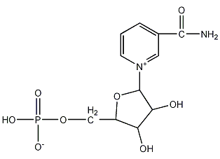 β-烟酰胺单核苷酸结构式