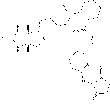 联锡酰氨基己酰-6-氨基己酸N-羟基琥珀酰亚胺酯结构式
