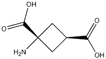 1-氨基环丁烷-反式-1,3-二羧酸结构式