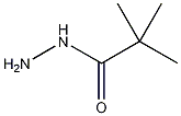 2,2-二甲基丙酰肼结构式
